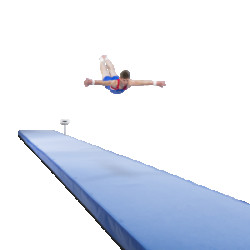 Акробатическая дорожка 12 х 2 м, 10 секций