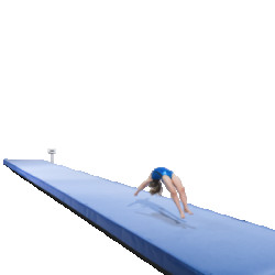 Акробатическая дорожка 12 х 2 м, 10 секций