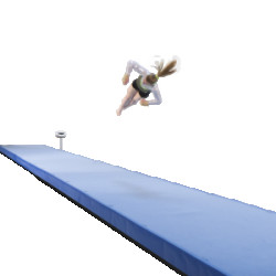 Акробатическая дорожка 12 х 2 м, 10 секций