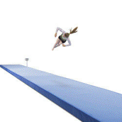 Акробатическая дорожка 12 х 2 м, 10 секций