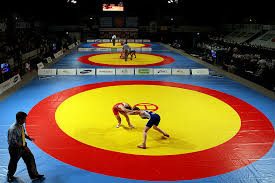 Ковер для вольной борьбы