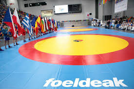 Ковер для вольной борьбы