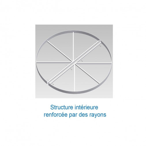 Круг для толкания ядра