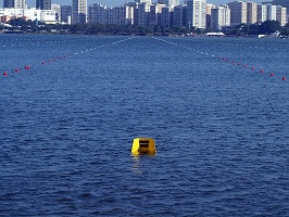 Система разметки для гребли сертифицирована FISA и ICF