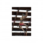 perekladina-sorevnovatelnaya